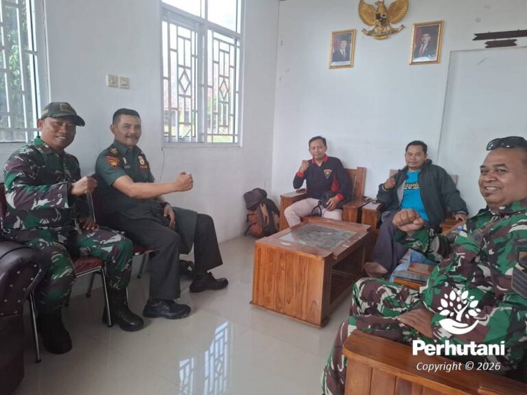 pkb12