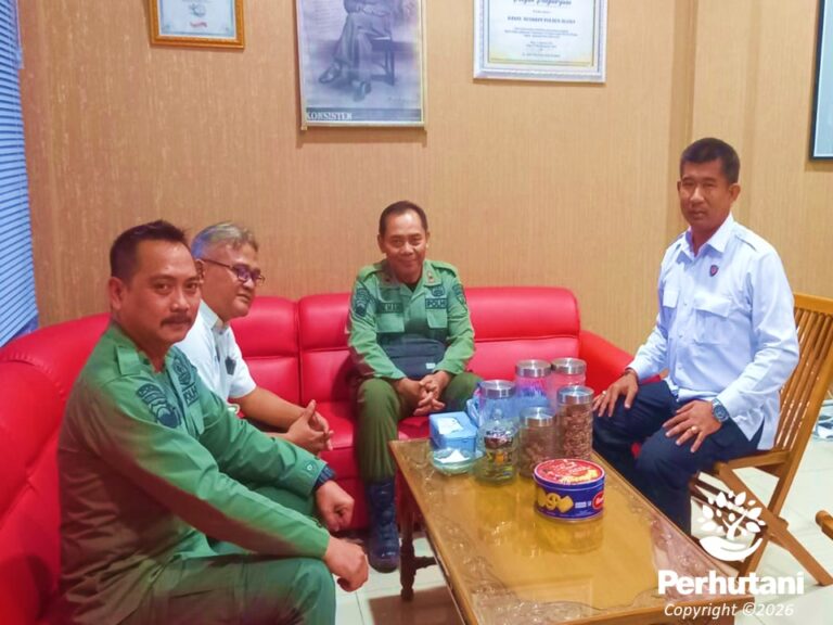 cepu9edit