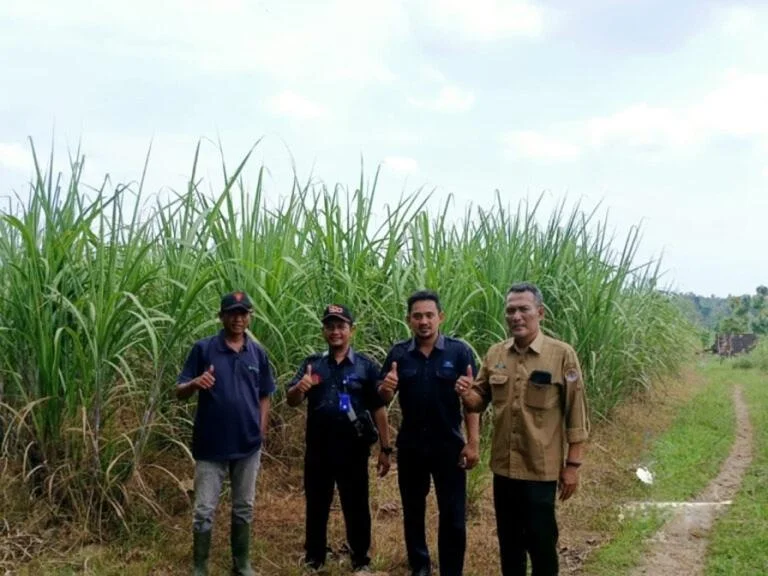 mantingan-rembang